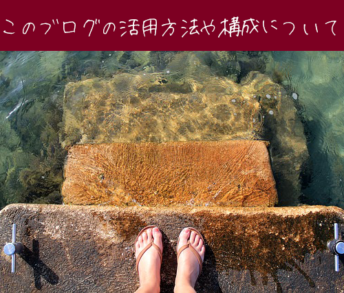 ブログの活用方法や構成について